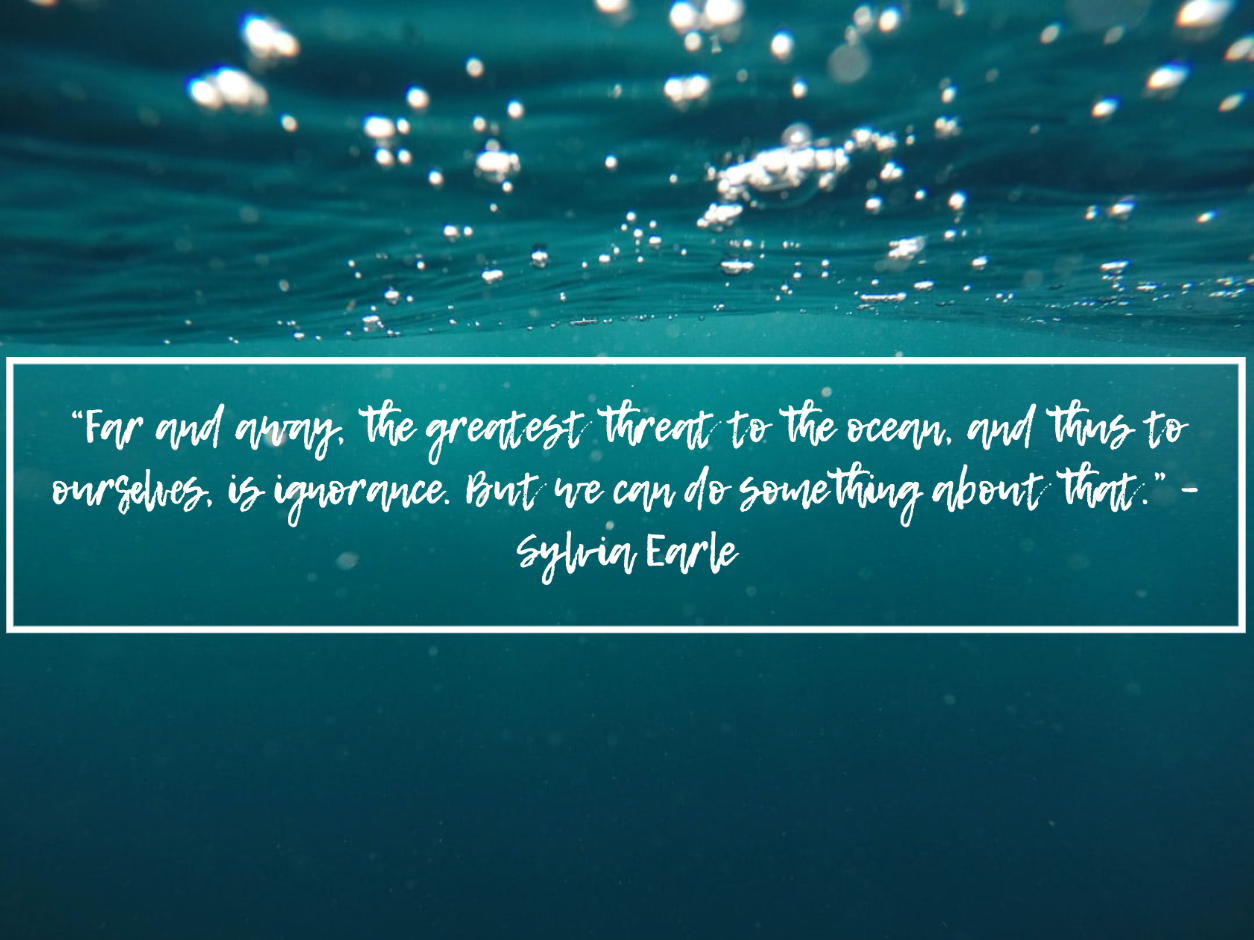 sylvia earle quotes