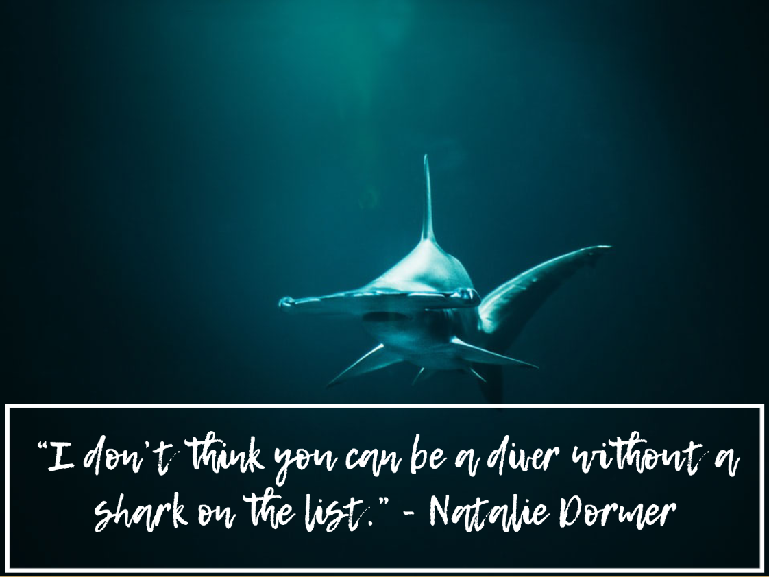 90+ Scuba Diving Quotes That Put Your Love of the Ocean into Words