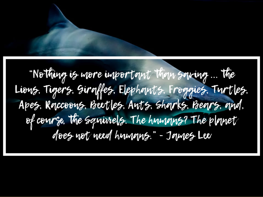 90+ Scuba Diving Quotes That Put Your Love of the Ocean into Words