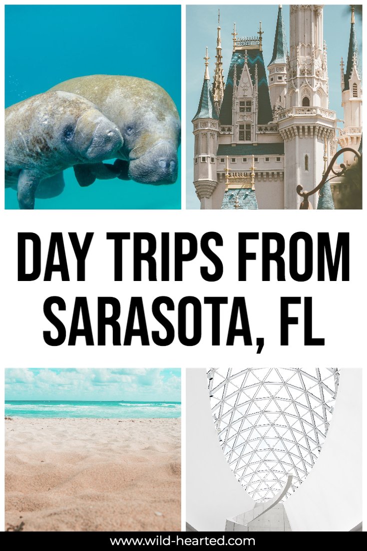 Day trips from sarasota florida