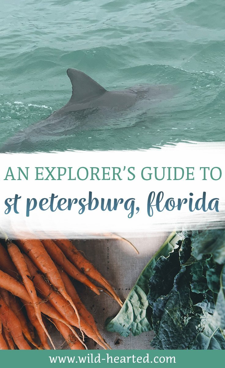 things to do in st petersburg fl