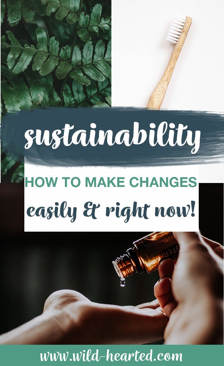 how to be more sustainable