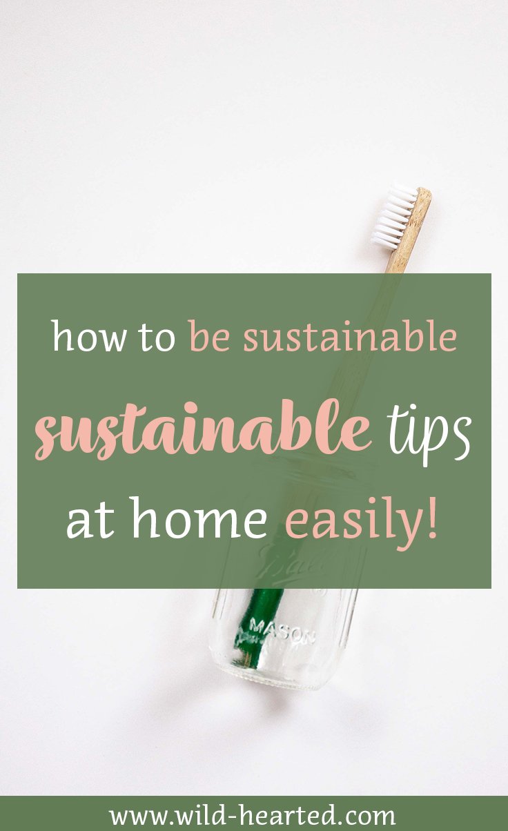 how to be more sustainable