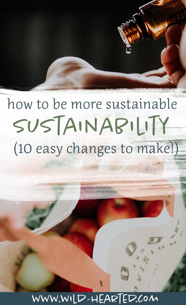 How To Be More Sustainable In 10 Easy And Managable Steps