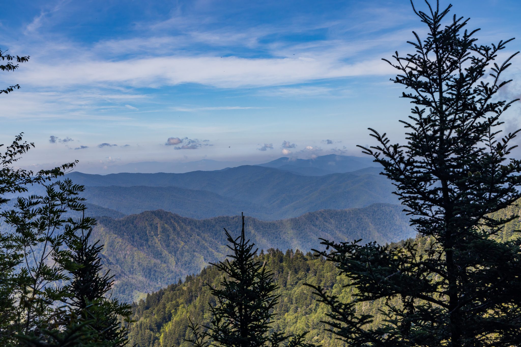 The Best Hikes Near Gatlinburg for Any Season Wild Hearted