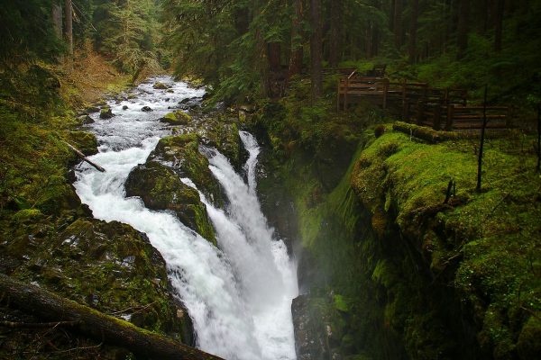 Best Hiking in Olympic National Park – Wild Hearted