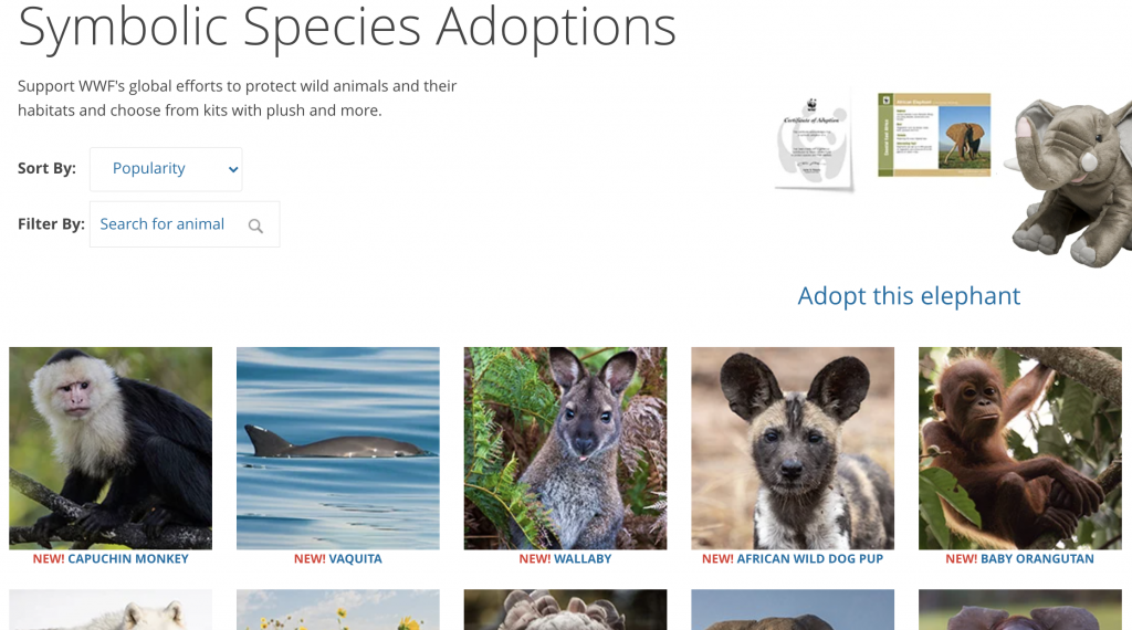 Adopt a Capuchin Monkey  Symbolic Adoptions from WWF