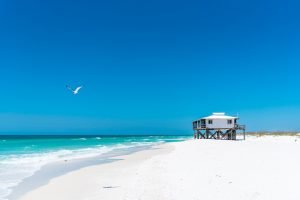 Read more about the article 6 Unique Things to Do in Panama City
