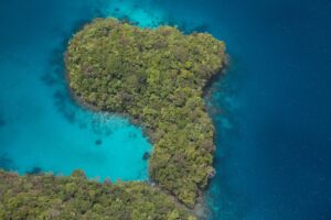 Read more about the article The Ultimate Guide to Scuba Diving in Palau