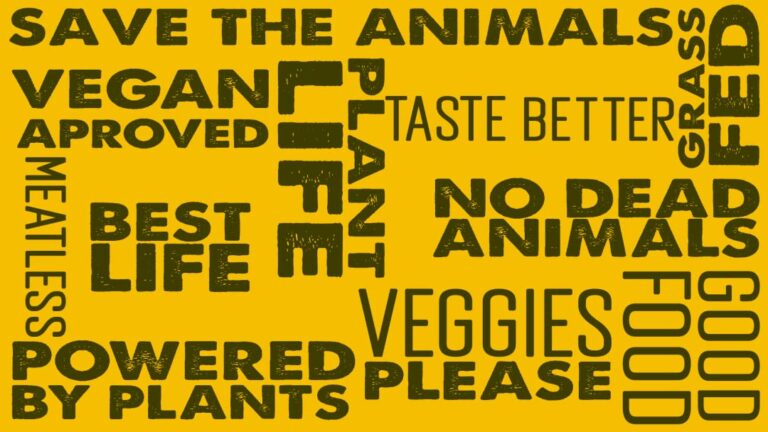 Read more about the article A Review of “The Invisible Vegan” Documentary