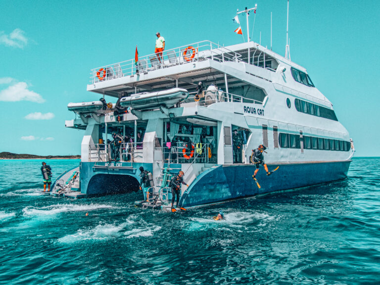 Read more about the article 6 Reasons Why You Should Go On a Liveaboard Diving Trip