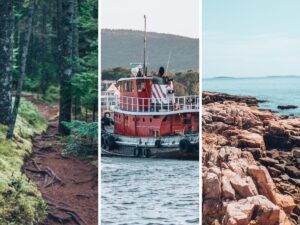 Read more about the article Be a Responsible Visitor Using These Sustainable Tips for Acadia National Park