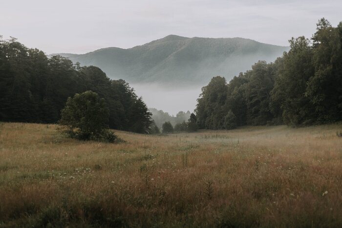 Things to Do in Gatlinburg TN – Great Smoky Mountains National Park