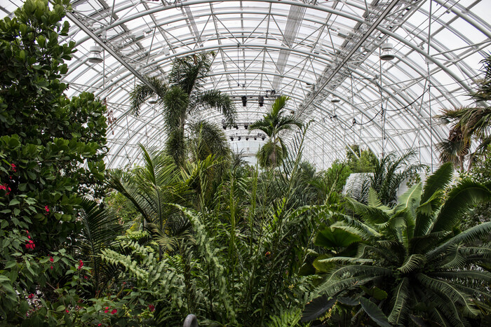 Things To Do in Oklahoma City – Myriad Botanical Gardens