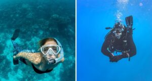 Read more about the article Snorkeling vs Scuba Diving – What’s the Difference?