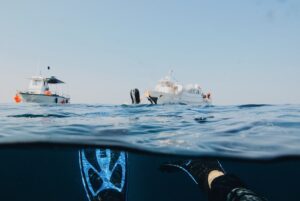 Snorkeling vs Scuba Diving – What's the Difference? • Wild Hearted