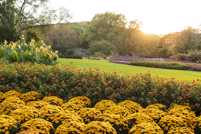 Outdoor Activities in Nashville – Cheekwood Botanical Gardens