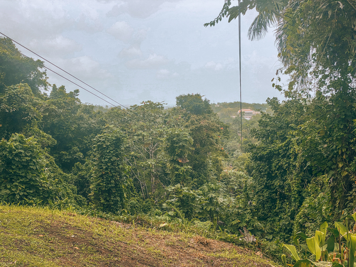 Fajardo Puerto Rico – El Yunque Rainforest Ziplining