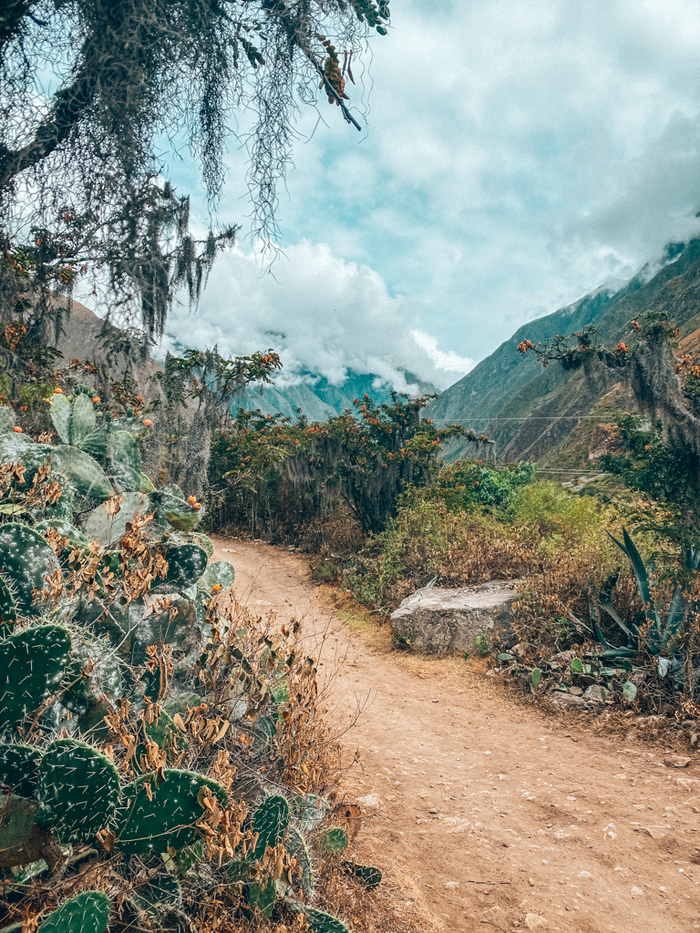 Inca Trail to Machu Picchu Hike – Day One