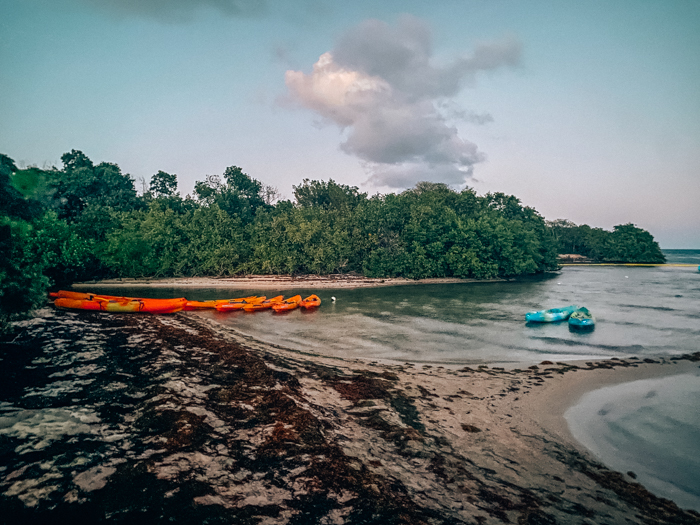 Fajardo Puerto Rico – Kayaking Laguna Grande