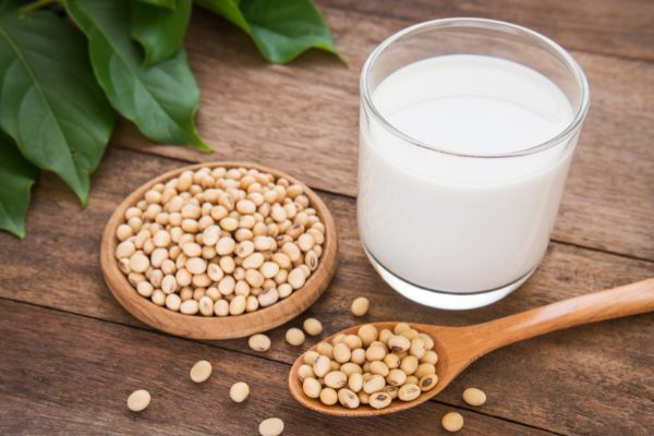 Plant Based Milk – Soy Milk