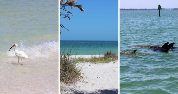 Caladesi Island State Park – Social