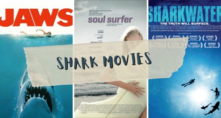 Read more about the article 13 Adrenaline-Pumping Shark Movies To Watch