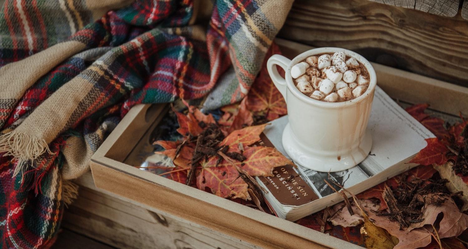 13 Vegan Hot Chocolate Mixes To Buy (+ Super Easy Recipe)