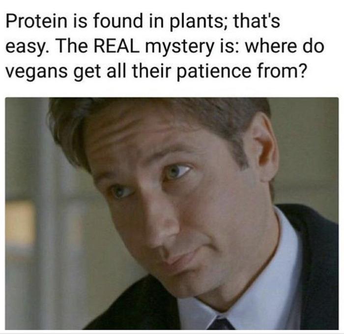 Vegan Memes