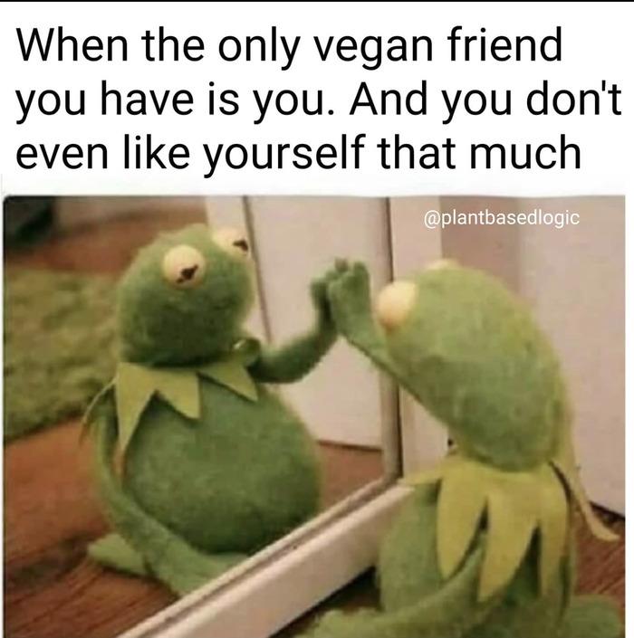 Vegan Memes