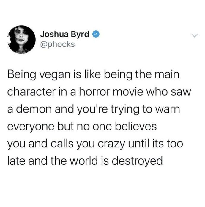 Vegan Memes