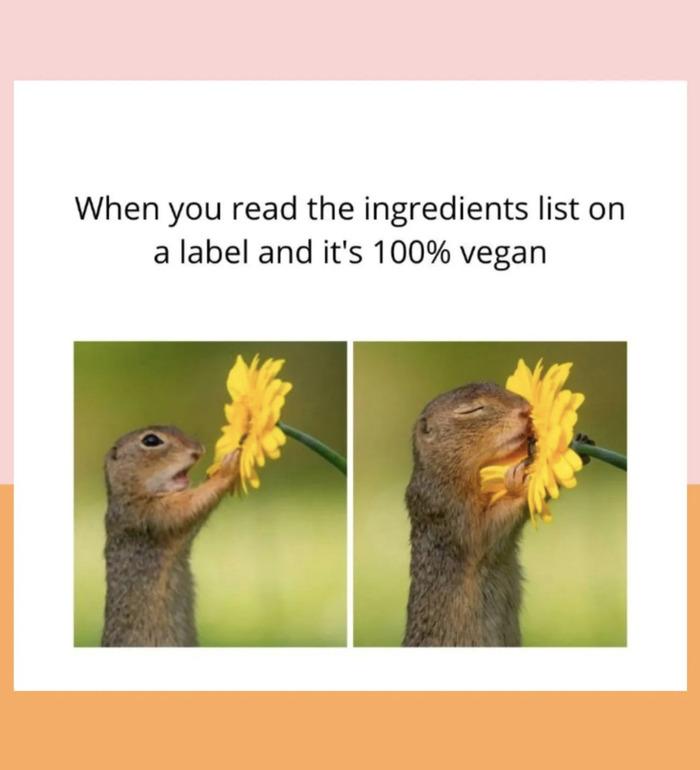 Vegan Memes