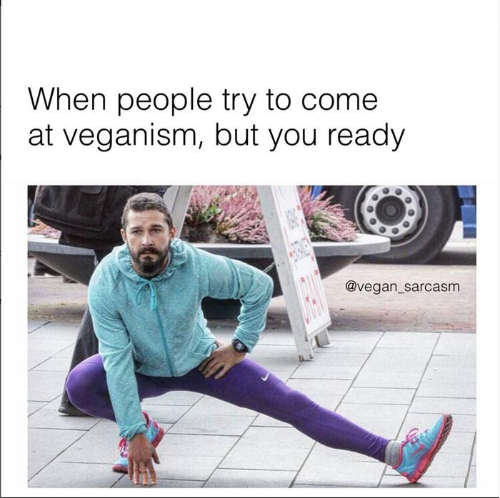 Vegan Memes