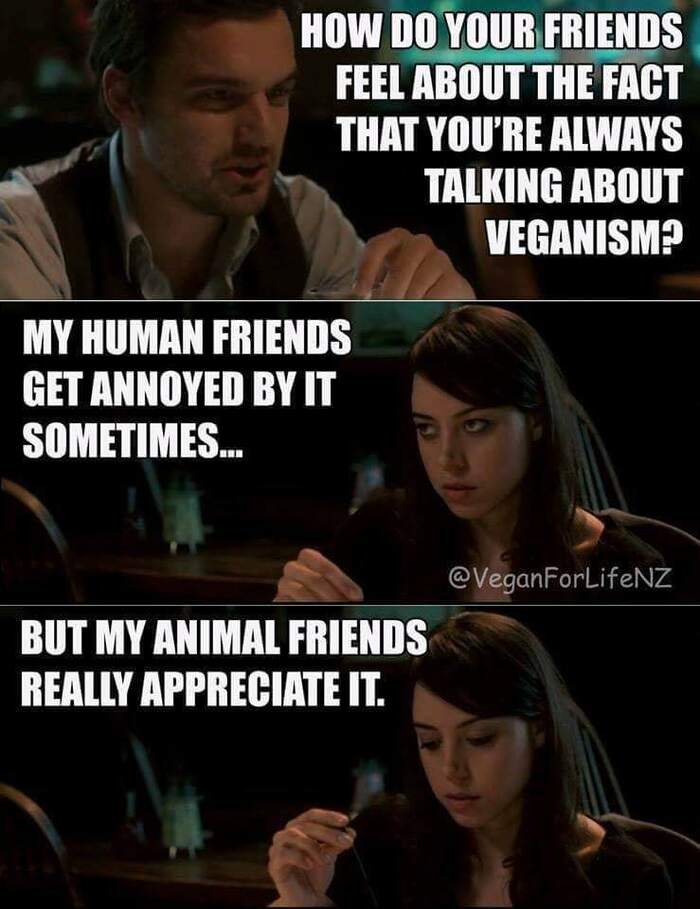 Vegan Memes