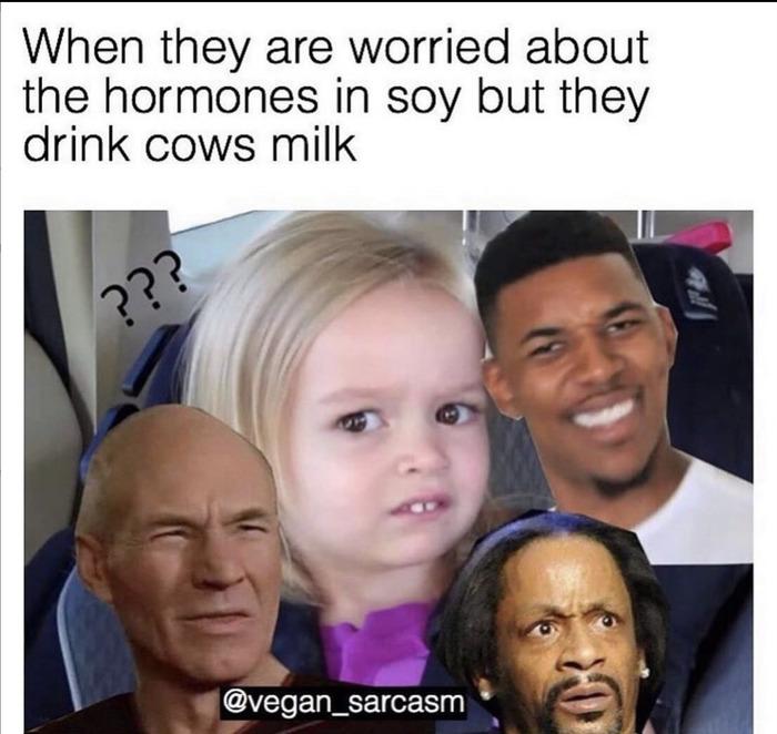 Vegan Memes