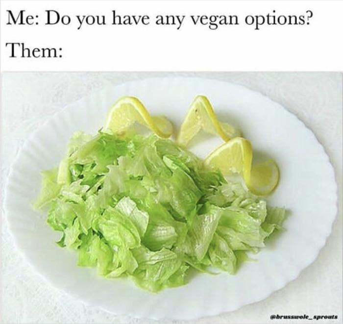 Vegan Memes