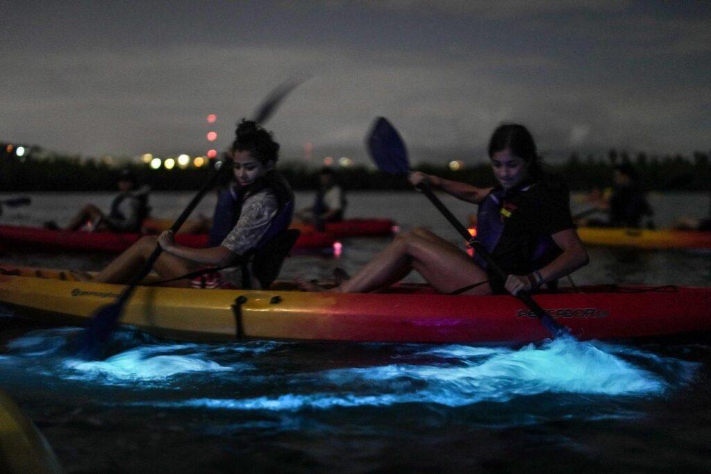 puerto rico bioluminescent bay