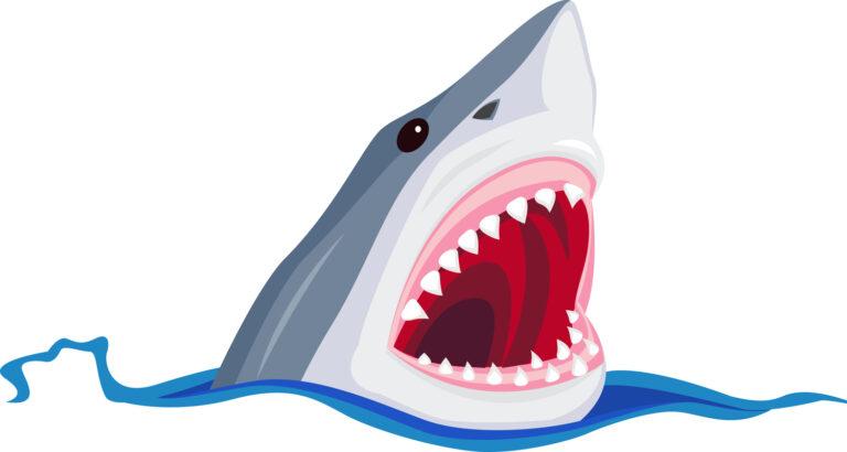 Read more about the article Sink Your Teeth Into These 55 Shark Puns