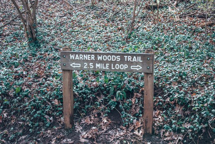 Nashville Hiking Trails – Harpeth Woods Trail