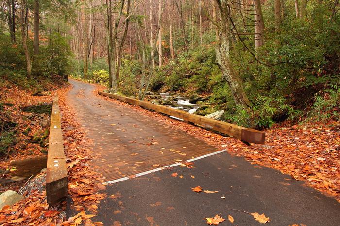 Smoky Mountains Tennessee Things To Do – Roaring Fork Motor Nature Trail