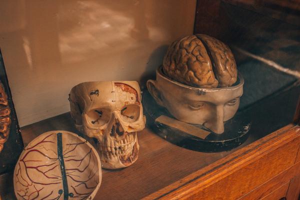 Weird Things to do in Indianapolis – Medical History Museum